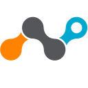 Netskope logo